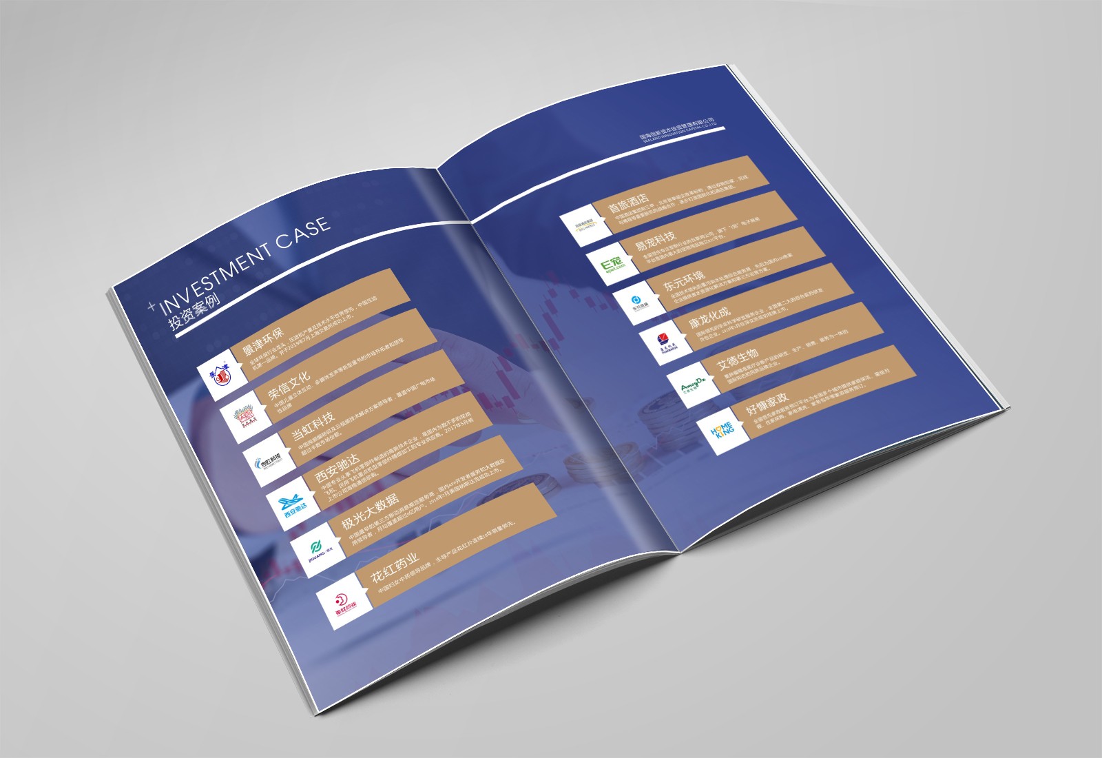 畫冊設計，彩頁設計