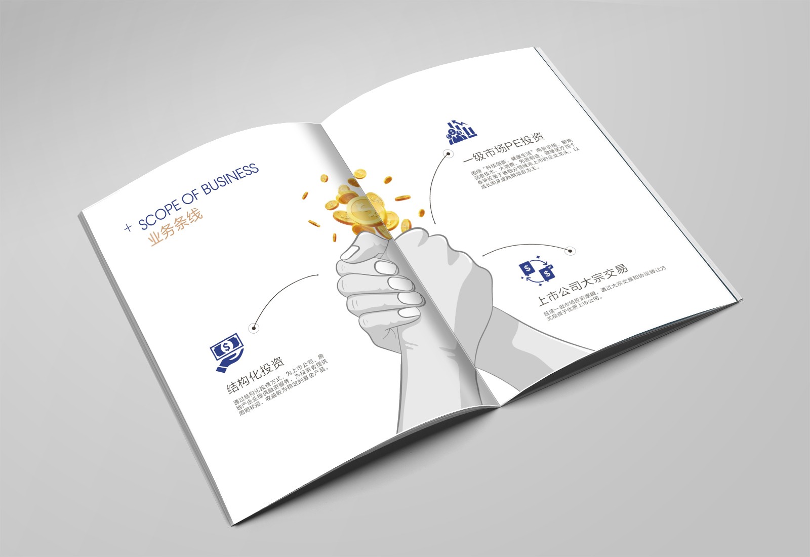 畫冊設計，彩頁設計