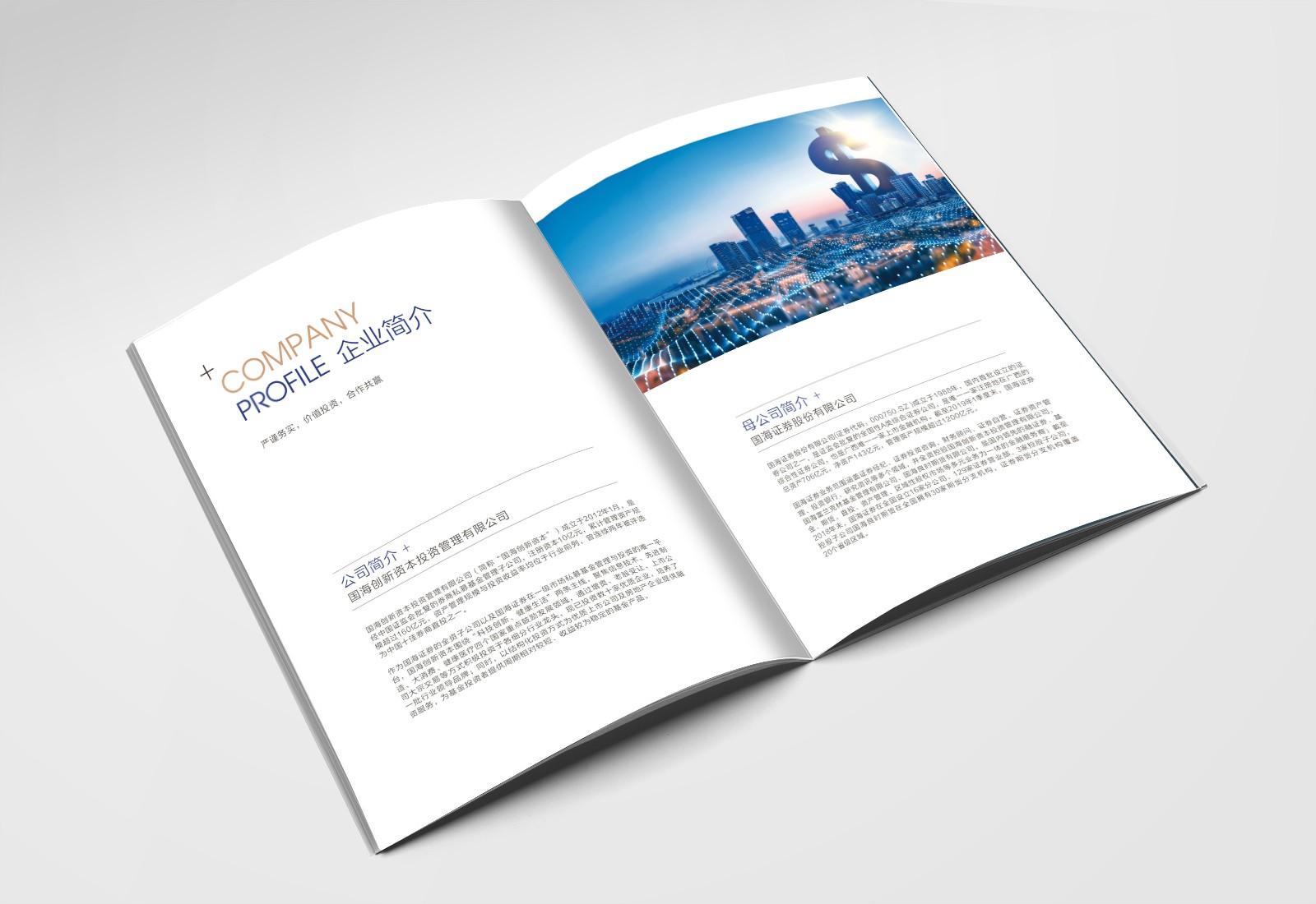 畫冊設計，彩頁設計